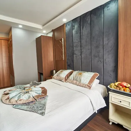 Sirkeci Hotel&spa * Provincia di Istanbul